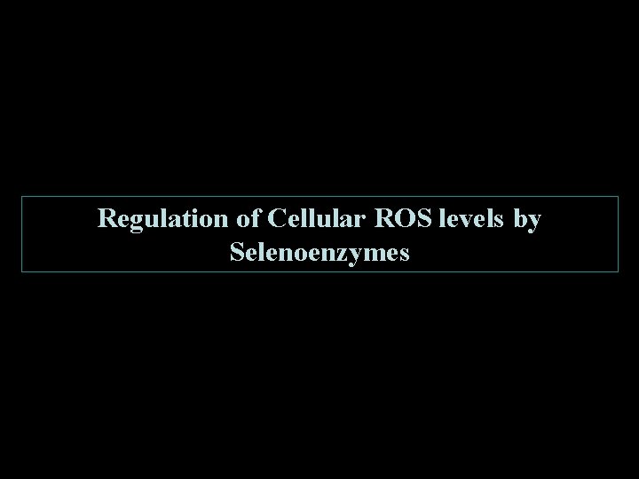Regulation of Cellular ROS levels by Selenoenzymes 