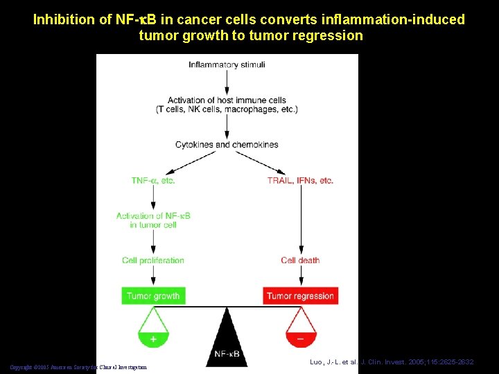 Inhibition of NF- B in cancer cells converts inflammation-induced tumor growth to tumor regression