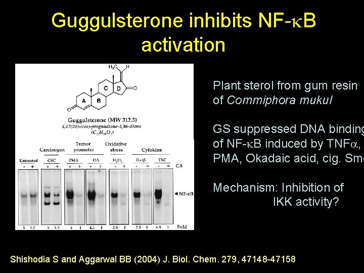 Guggulsterone inhibits NF-k. B activation Plant sterol from gum resin of Commiphora mukul GS