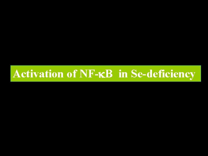 Activation of NF- B in Se-deficiency 