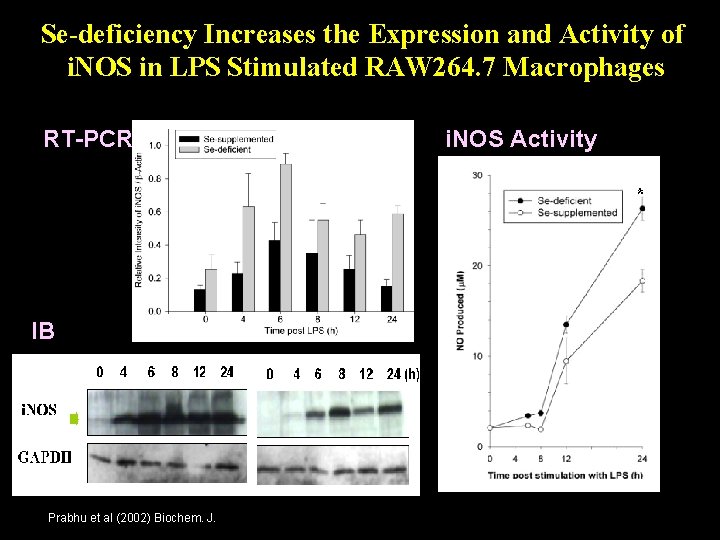 Se-deficiency Increases the Expression and Activity of i. NOS in LPS Stimulated RAW 264.