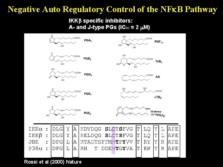 Negative Auto Regulatory Control of the NF B Pathway IKKb specific inhibitors: A- and