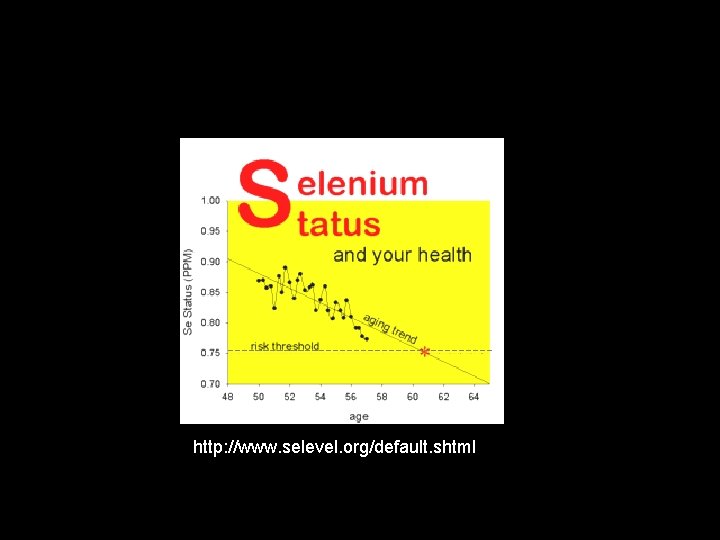 http: //www. selevel. org/default. shtml 