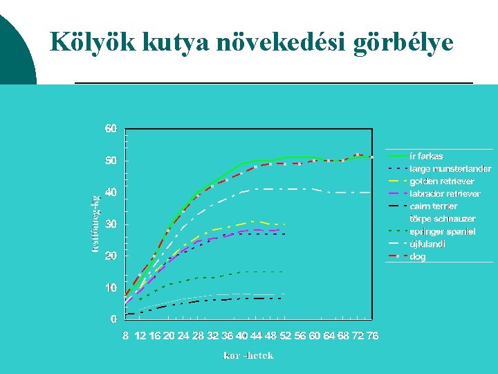 Kölyök kutya növekedési görbélye 