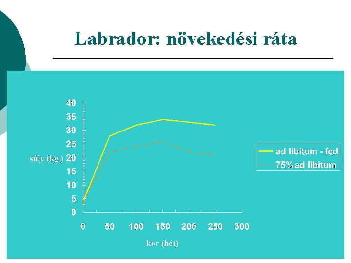 Labrador: növekedési ráta 