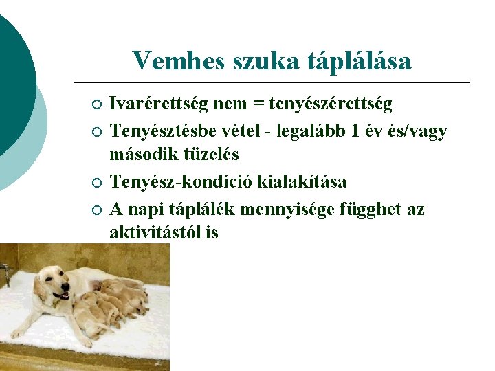 Vemhes szuka táplálása ¡ ¡ Ivarérettség nem = tenyészérettség Tenyésztésbe vétel - legalább 1