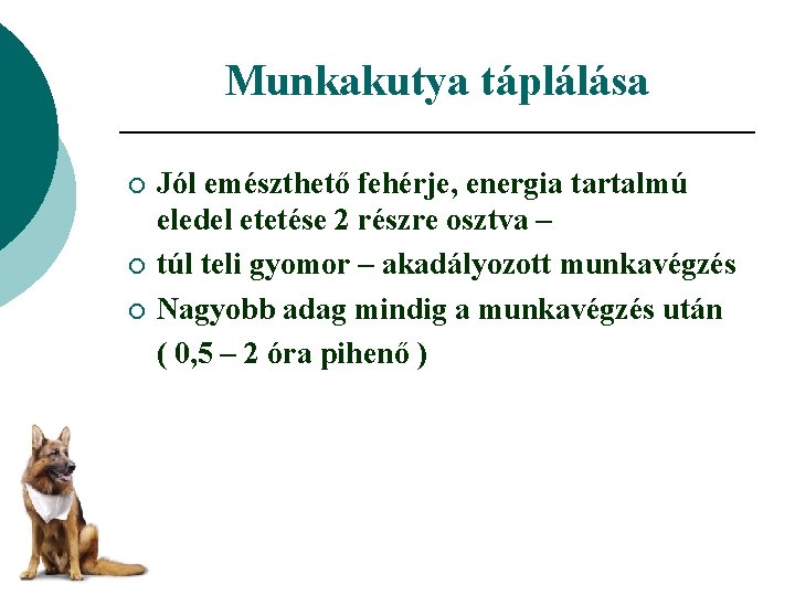 Munkakutya táplálása ¡ ¡ ¡ Jól emészthető fehérje, energia tartalmú eledel etetése 2 részre