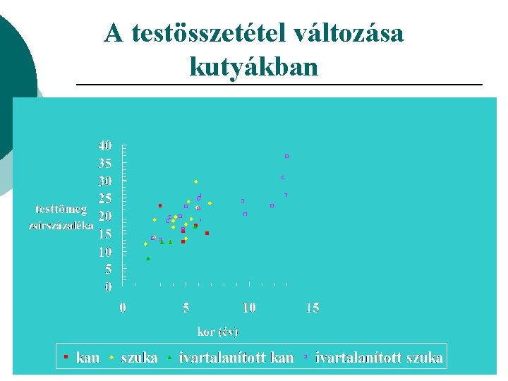 A testösszetétel változása kutyákban 