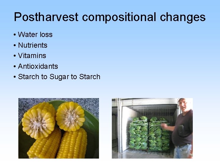 Postharvest compositional changes • Water loss • Nutrients • Vitamins • Antioxidants • Starch