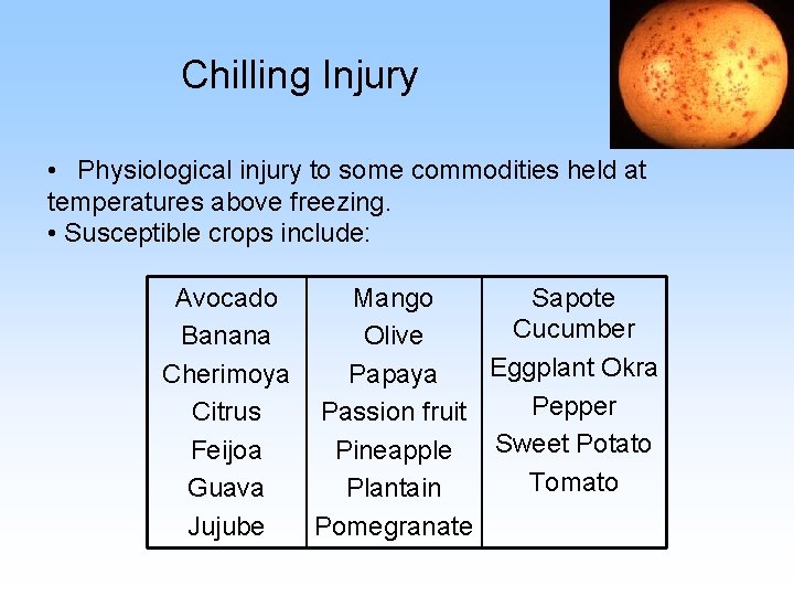 Chilling Injury • Physiological injury to some commodities held at temperatures above freezing. •