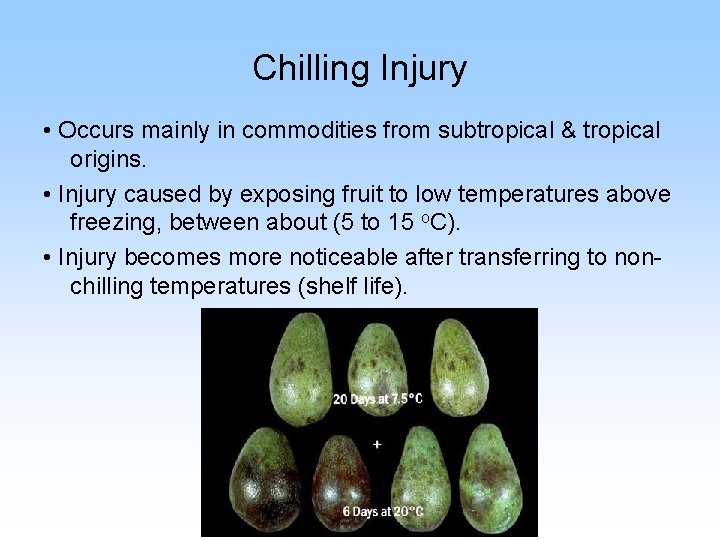 Chilling Injury • Occurs mainly in commodities from subtropical & tropical origins. • Injury