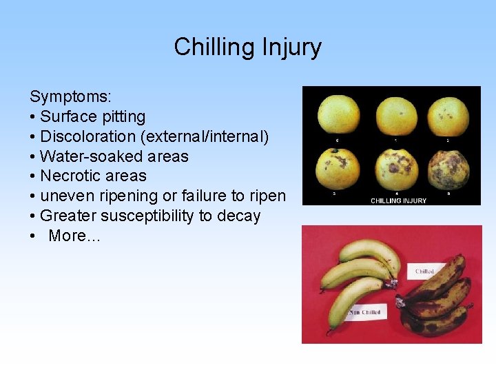 Chilling Injury Symptoms: • Surface pitting • Discoloration (external/internal) • Water-soaked areas • Necrotic