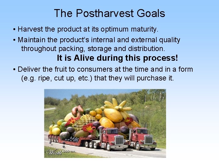 The Postharvest Goals • Harvest the product at its optimum maturity. • Maintain the