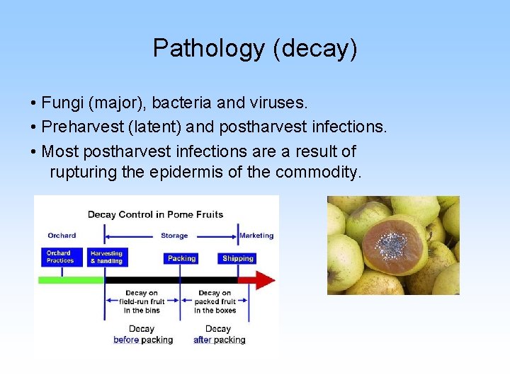 Pathology (decay) • Fungi (major), bacteria and viruses. • Preharvest (latent) and postharvest infections.