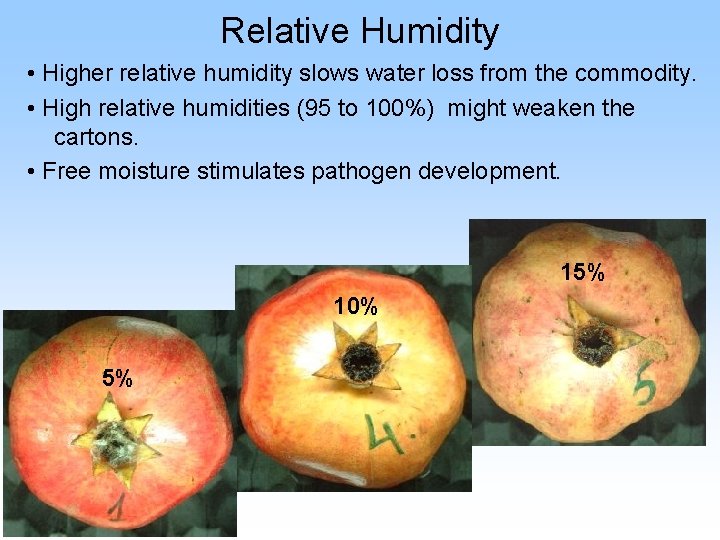 Relative Humidity • Higher relative humidity slows water loss from the commodity. • High