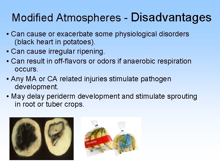 Modified Atmospheres - Disadvantages • Can cause or exacerbate some physiological disorders (black heart