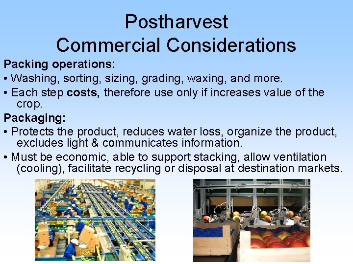 Postharvest Commercial Considerations Packing operations: • Washing, sorting, sizing, grading, waxing, and more. •