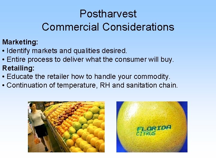 Postharvest Commercial Considerations Marketing: • Identify markets and qualities desired. • Entire process to