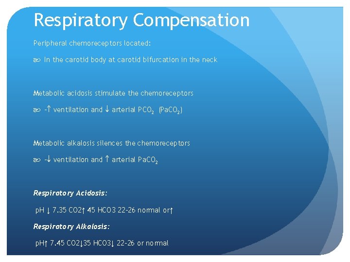 Respiratory Compensation Peripheral chemoreceptors located: In the carotid body at carotid bifurcation in the