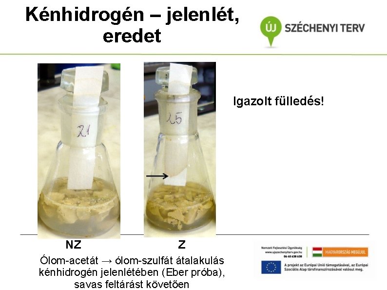 Kénhidrogén – jelenlét, eredet Igazolt fülledés! NZ Z Ólom-acetát → ólom-szulfát átalakulás kénhidrogén jelenlétében