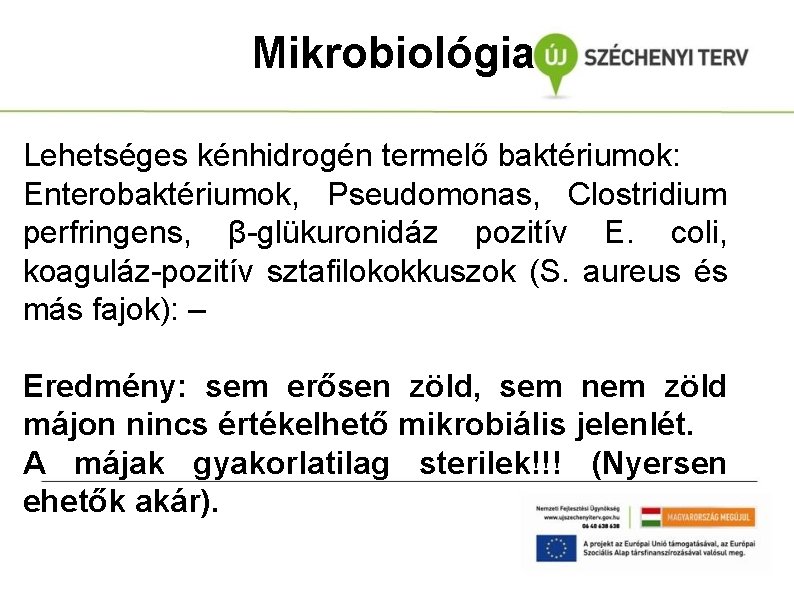 Mikrobiológia Lehetséges kénhidrogén termelő baktériumok: Enterobaktériumok, Pseudomonas, Clostridium perfringens, β-glükuronidáz pozitív E. coli, koaguláz-pozitív
