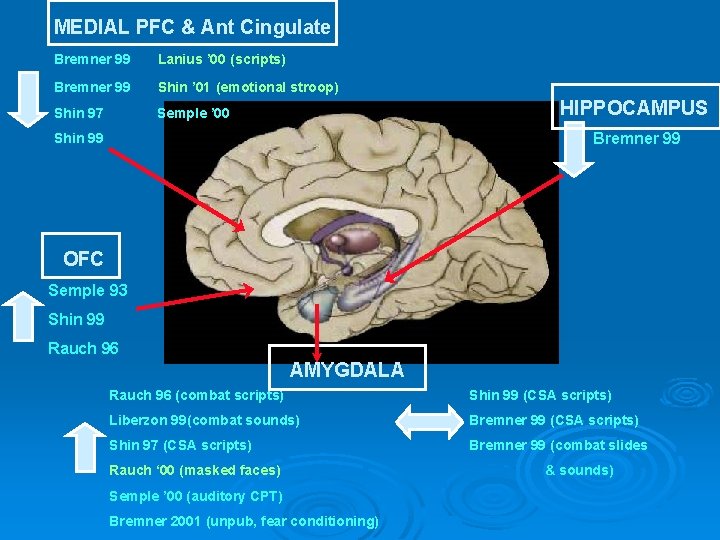 MEDIAL PFC & Ant Cingulate Bremner 99 Lanius ’ 00 (scripts) Bremner 99 Shin