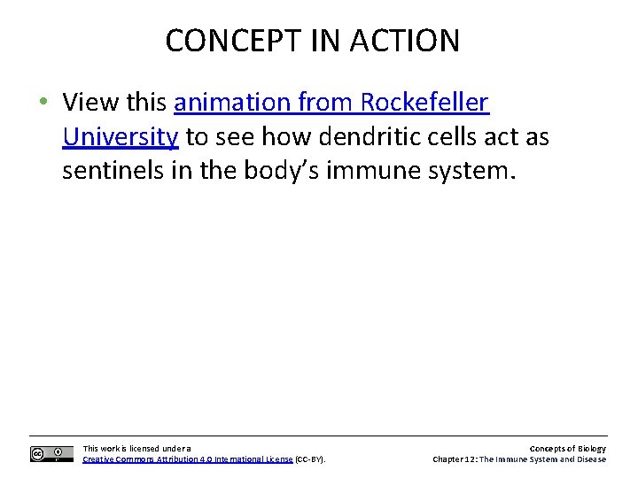 CONCEPT IN ACTION • View this animation from Rockefeller University to see how dendritic