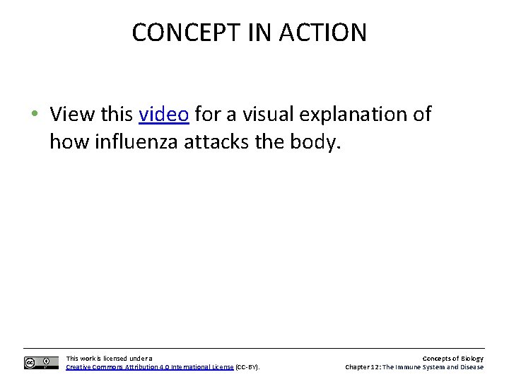 CONCEPT IN ACTION • View this video for a visual explanation of how influenza