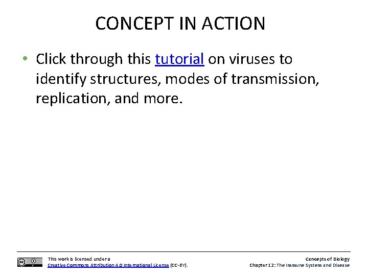 CONCEPT IN ACTION • Click through this tutorial on viruses to identify structures, modes