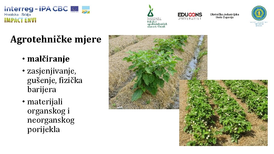 Agrotehničke mjere • malčiranje • zasjenjivanje, gušenje, fizička barijera • materijali organskog i neorganskog