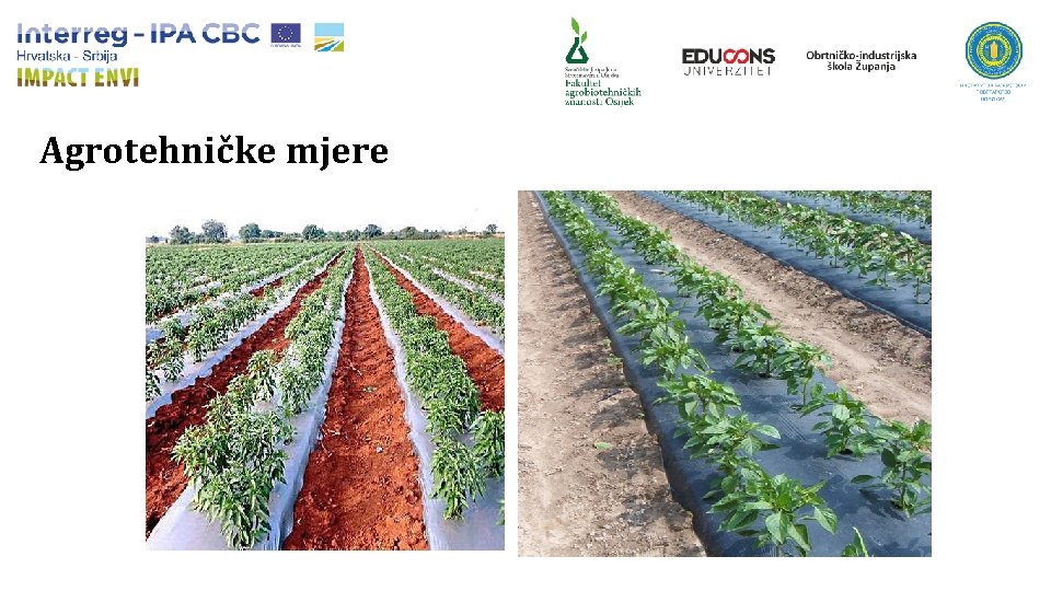 Agrotehničke mjere 