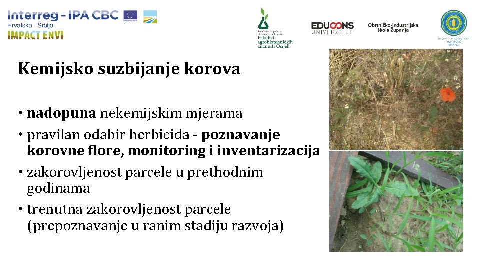 Kemijsko suzbijanje korova • nadopuna nekemijskim mjerama • pravilan odabir herbicida - poznavanje korovne