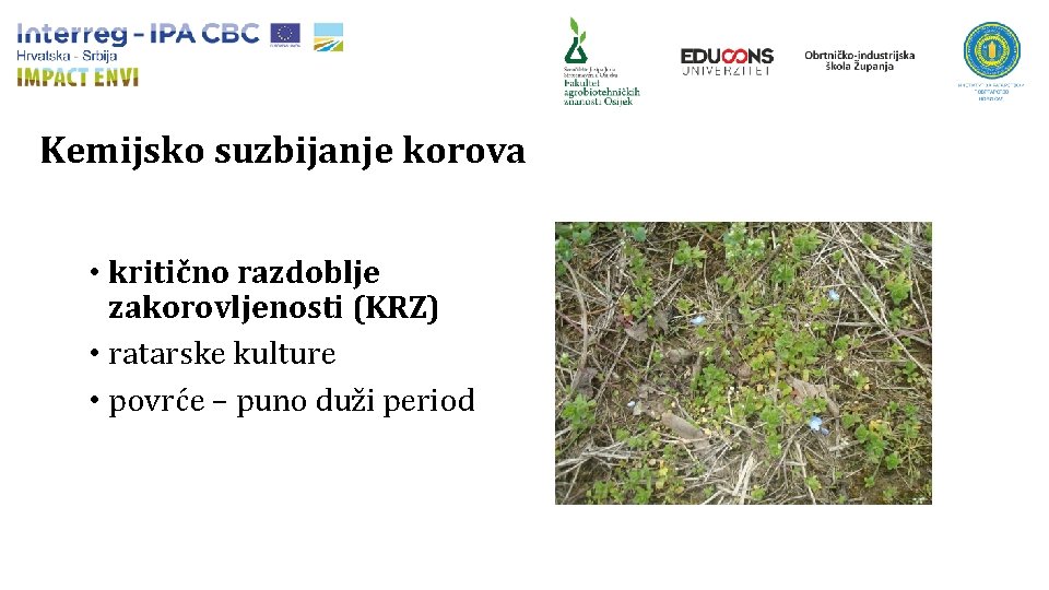 Kemijsko suzbijanje korova • kritično razdoblje zakorovljenosti (KRZ) • ratarske kulture • povrće –