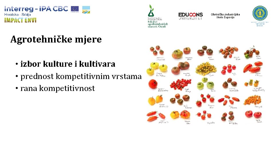 Agrotehničke mjere • izbor kulture i kultivara • prednost kompetitivnim vrstama • rana kompetitivnost