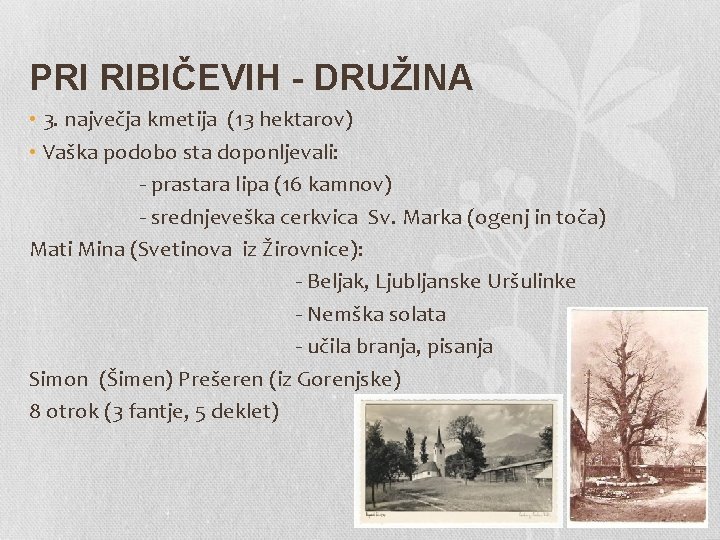 PRI RIBIČEVIH - DRUŽINA • 3. največja kmetija (13 hektarov) • Vaška podobo sta