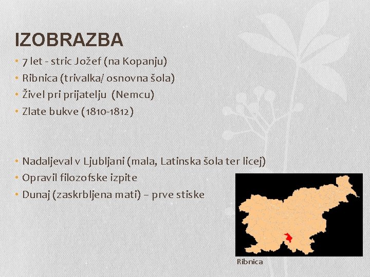 IZOBRAZBA • 7 let - stric Jožef (na Kopanju) • Ribnica (trivalka/ osnovna šola)