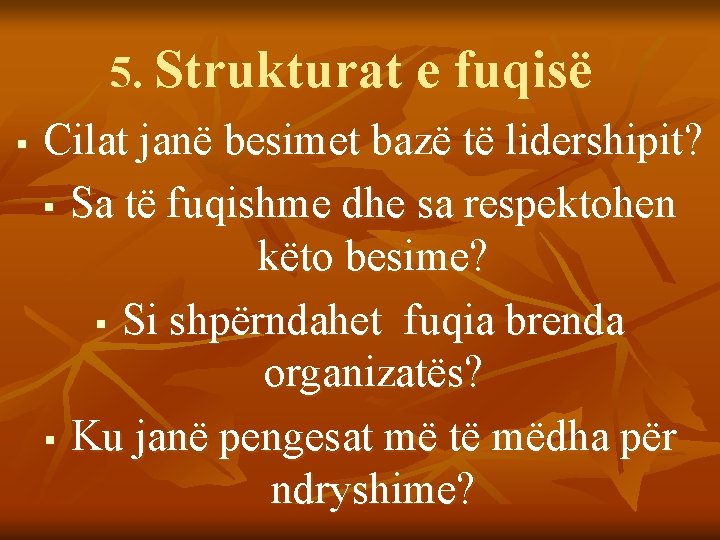 § 5. Strukturat e fuqisë Cilat janë besimet bazë të lidershipit? § Sa të