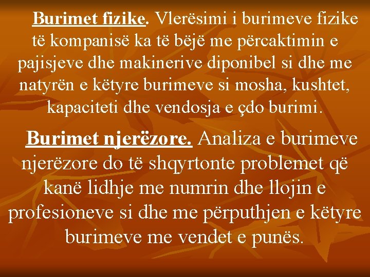 Burimet fizike. Vlerësimi i burimeve fizike të kompanisë ka të bëjë me përcaktimin e