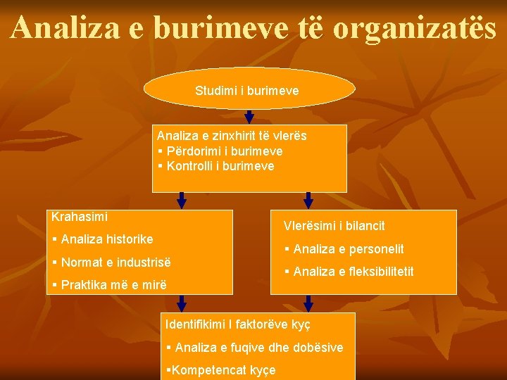 Analiza e burimeve të organizatës Studimi i burimeve Analiza e zinxhirit të vlerës §