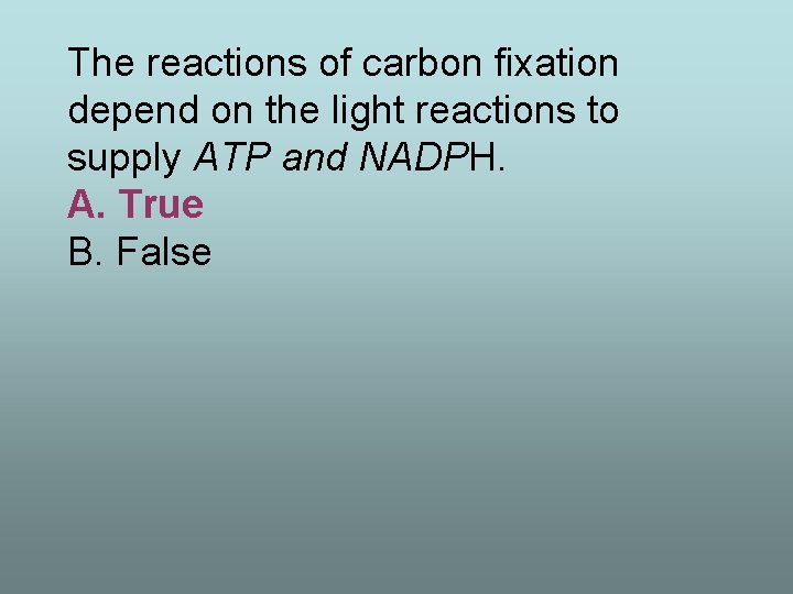 The reactions of carbon fixation depend on the light reactions to supply ATP and
