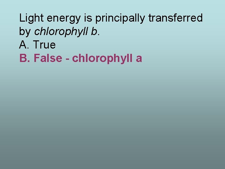 Light energy is principally transferred by chlorophyll b. A. True B. False - chlorophyll