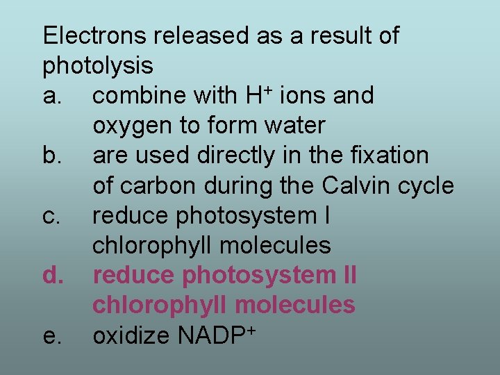 Electrons released as a result of photolysis a. combine with H+ ions and oxygen