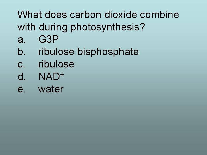 What does carbon dioxide combine with during photosynthesis? a. G 3 P b. ribulose