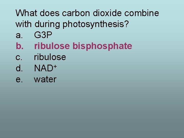 What does carbon dioxide combine with during photosynthesis? a. G 3 P b. ribulose