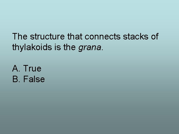 The structure that connects stacks of thylakoids is the grana. A. True B. False