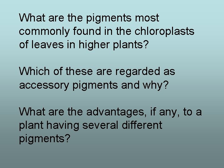 What are the pigments most commonly found in the chloroplasts of leaves in higher