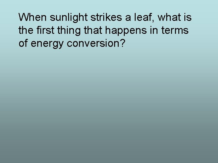 When sunlight strikes a leaf, what is the first thing that happens in terms
