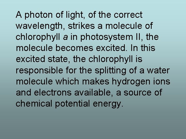 A photon of light, of the correct wavelength, strikes a molecule of chlorophyll a