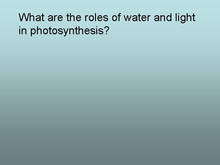 What are the roles of water and light in photosynthesis? 