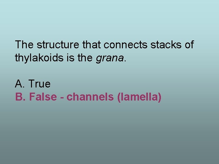 The structure that connects stacks of thylakoids is the grana. A. True B. False